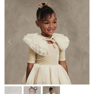 Noralee tulle ruffle collar in champagne